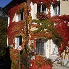 Herbst in Molln