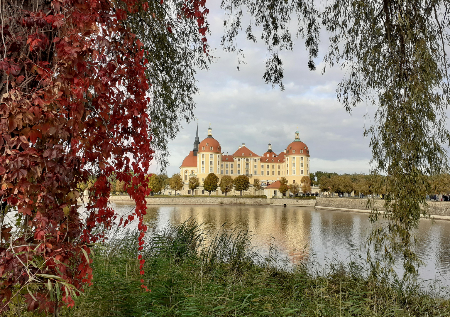 Herbst in Moritzburg