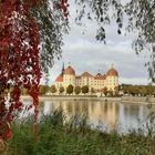 Herbst in Moritzburg