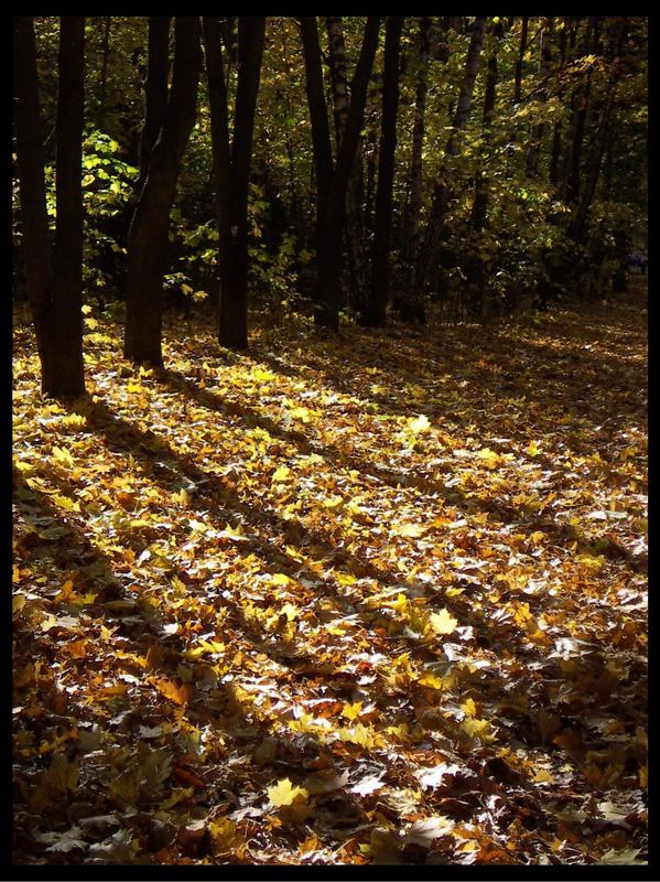 Herbst in Moskau... I