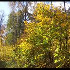 Herbst in Moskau... II