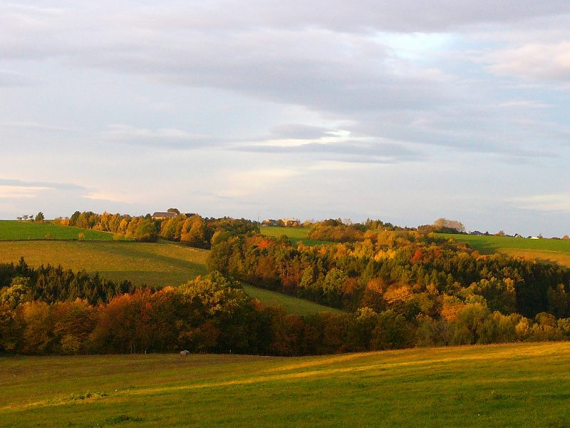 Herbst in MTL