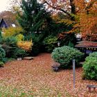 Herbst in Müller's Garten