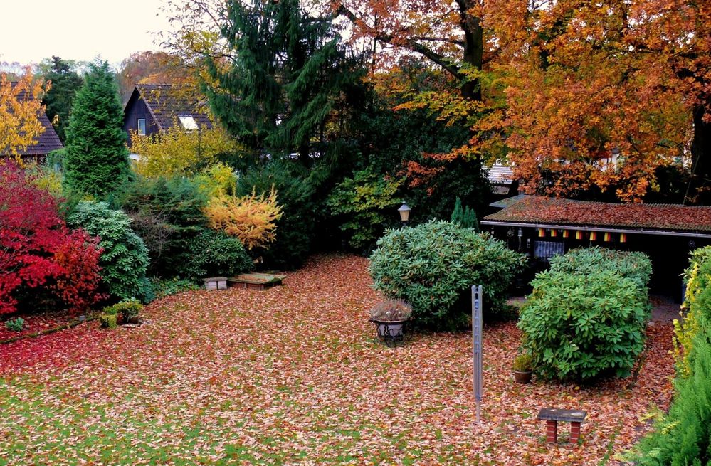 Herbst in Müller's Garten