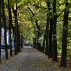 Herbst in München