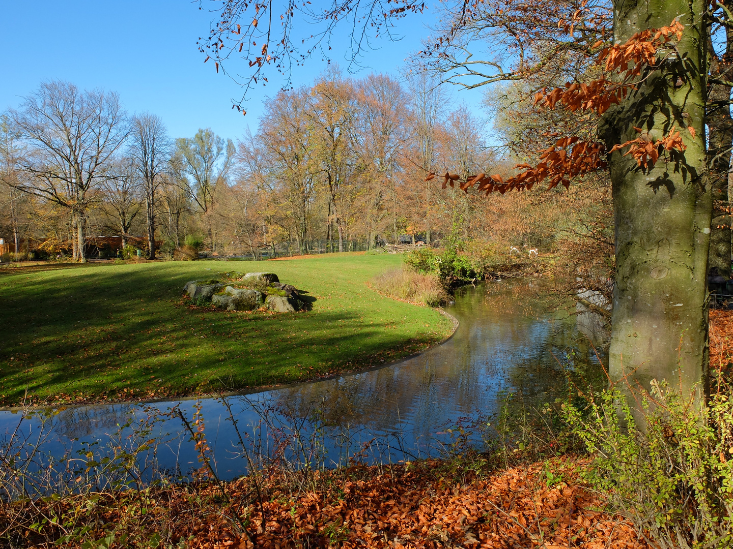 Herbst in München