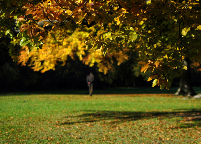 Herbst in München