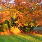 Herbst in München