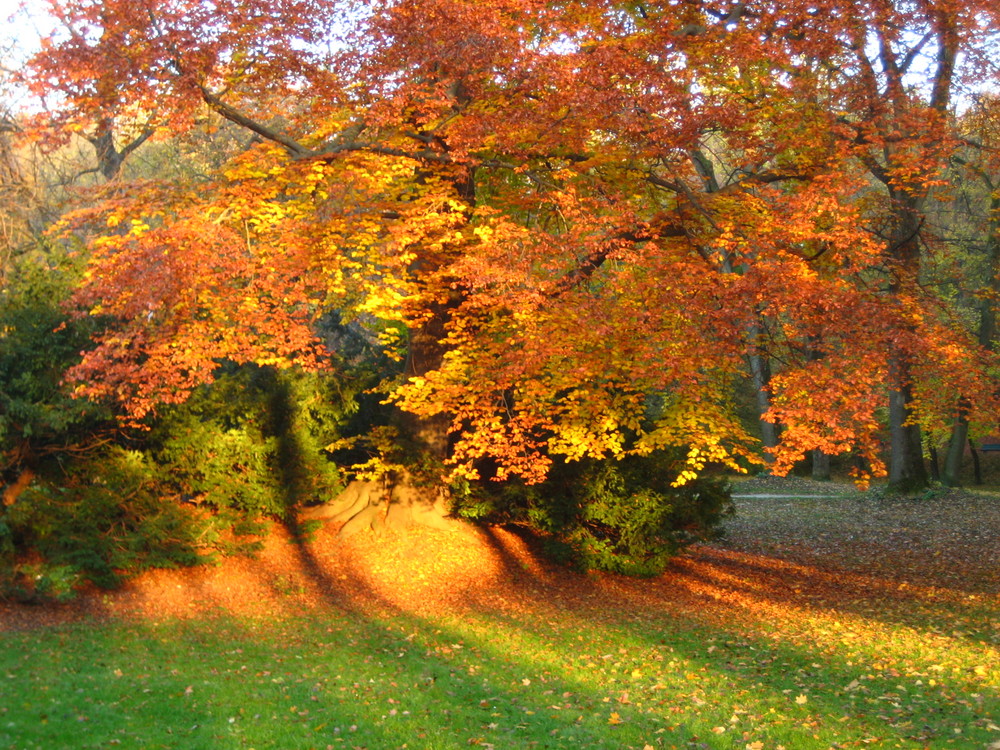 Herbst in München Foto & Bild jahreszeiten, natur Bilder