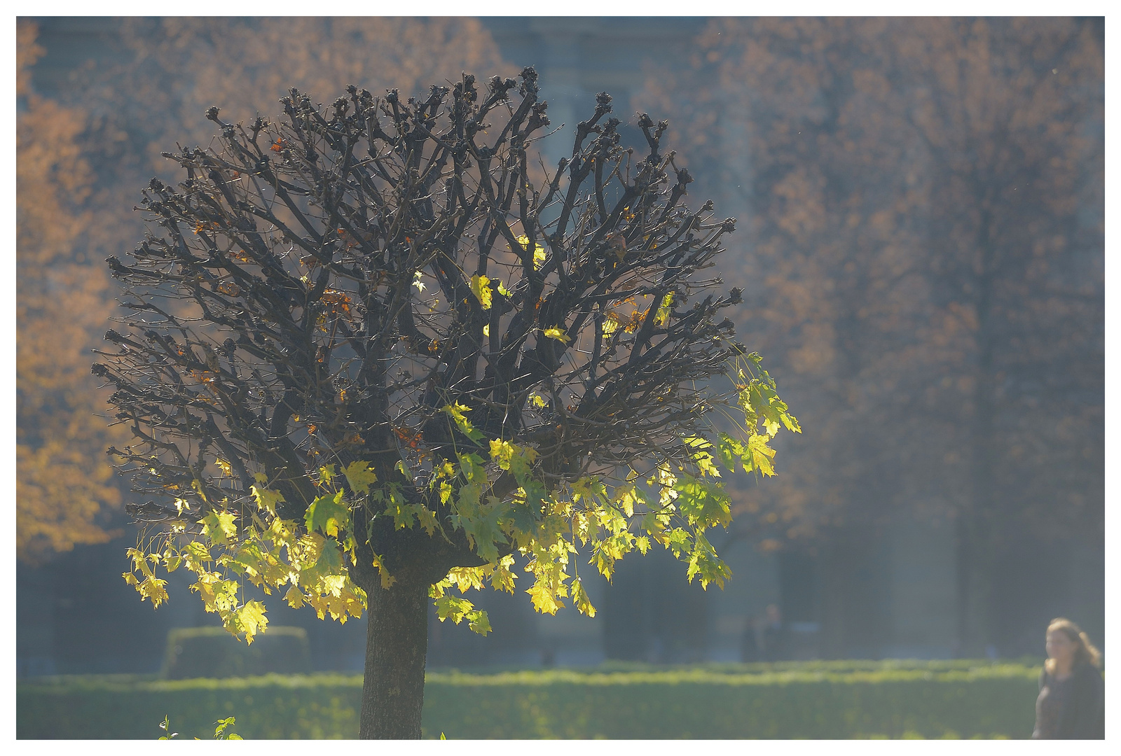 Herbst in München II