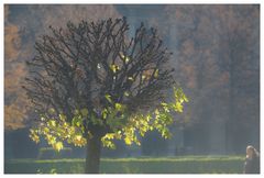 Herbst in München II