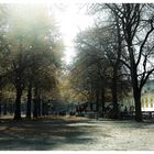 Herbst in München III