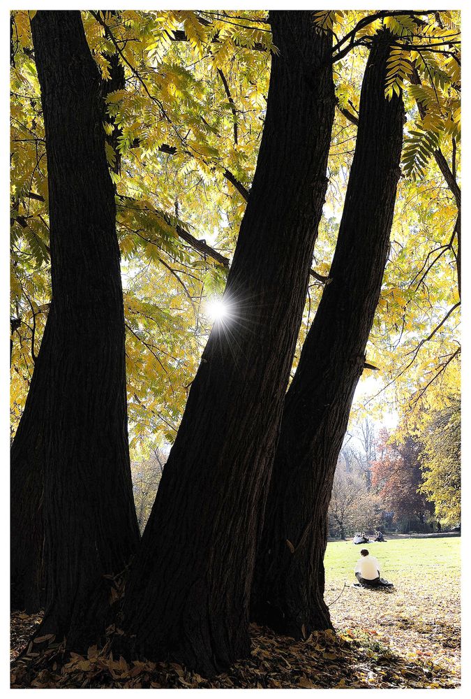 Herbst in München V