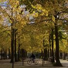 Herbst in Münster