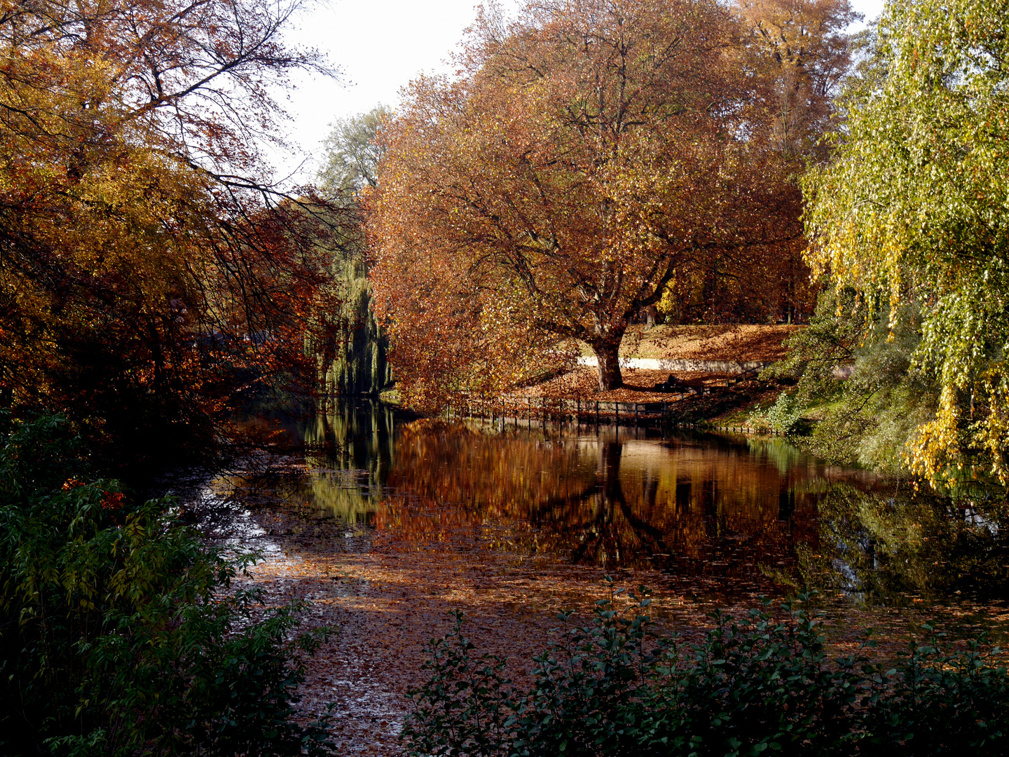 Herbst in Münster