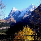 Herbst in Mürren