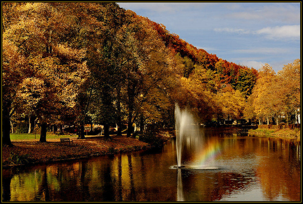 Herbst in Nagold II