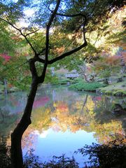 Herbst in Narita