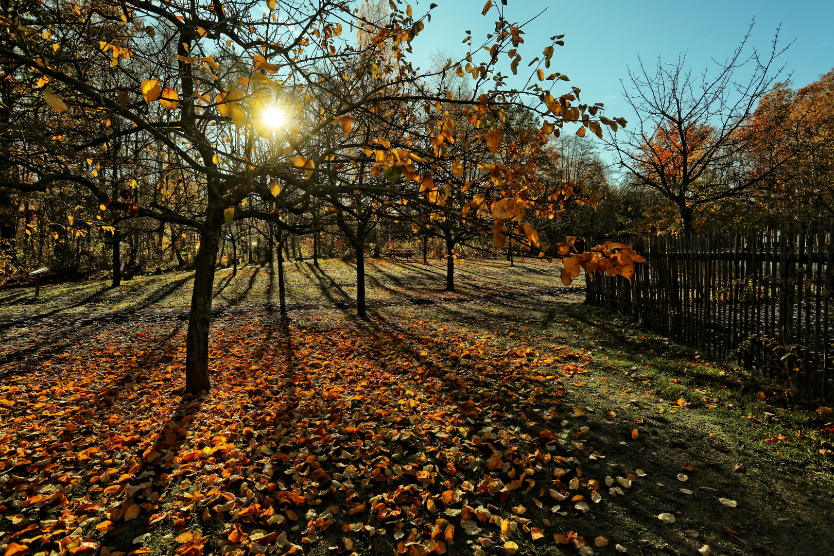 Herbst in Neu Anspach