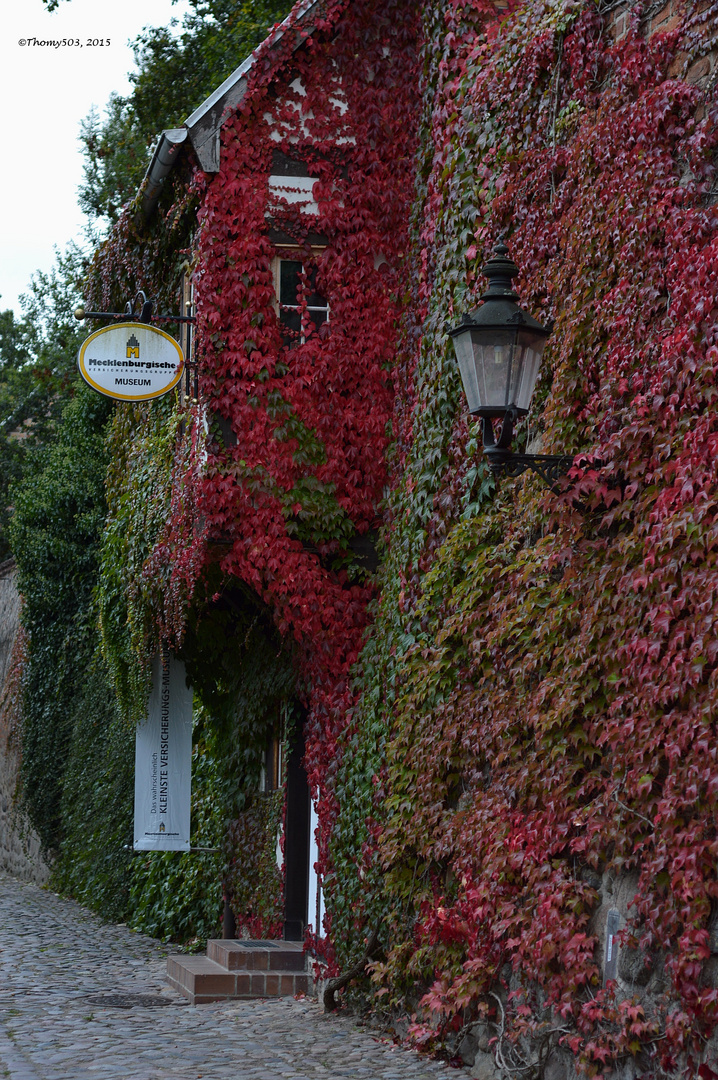 Herbst in Neubrandenburg