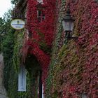 Herbst in Neubrandenburg