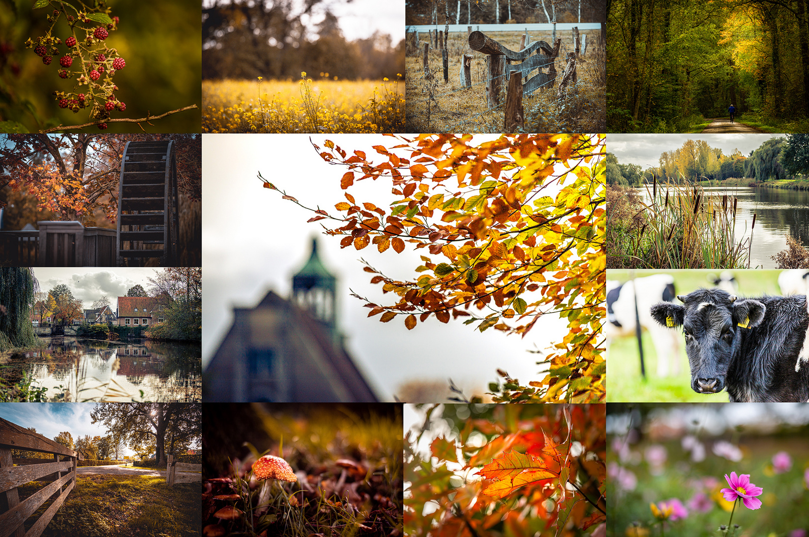 Herbst in Neuenhaus