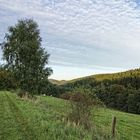 Herbst in Niederholte