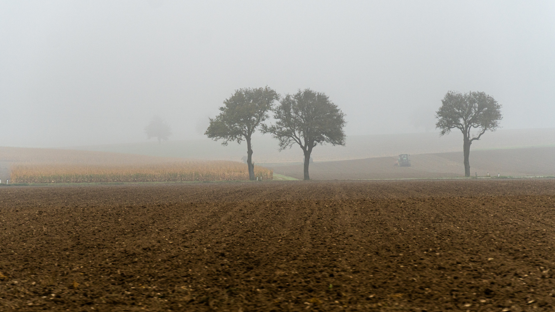 HERBST IN NIEDERÖSTERREICH