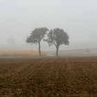 HERBST IN NIEDERÖSTERREICH