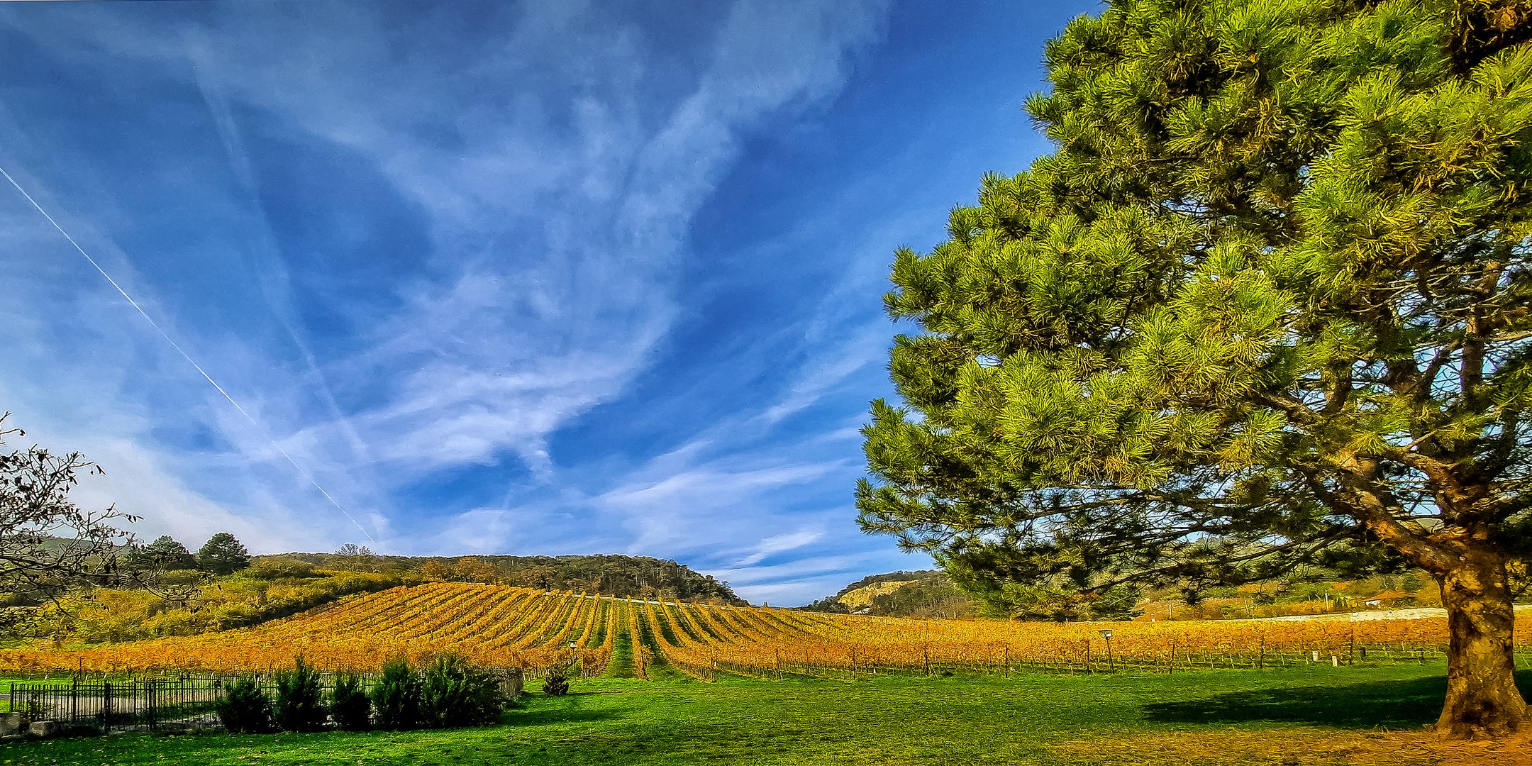 Herbst in Niederösterreich