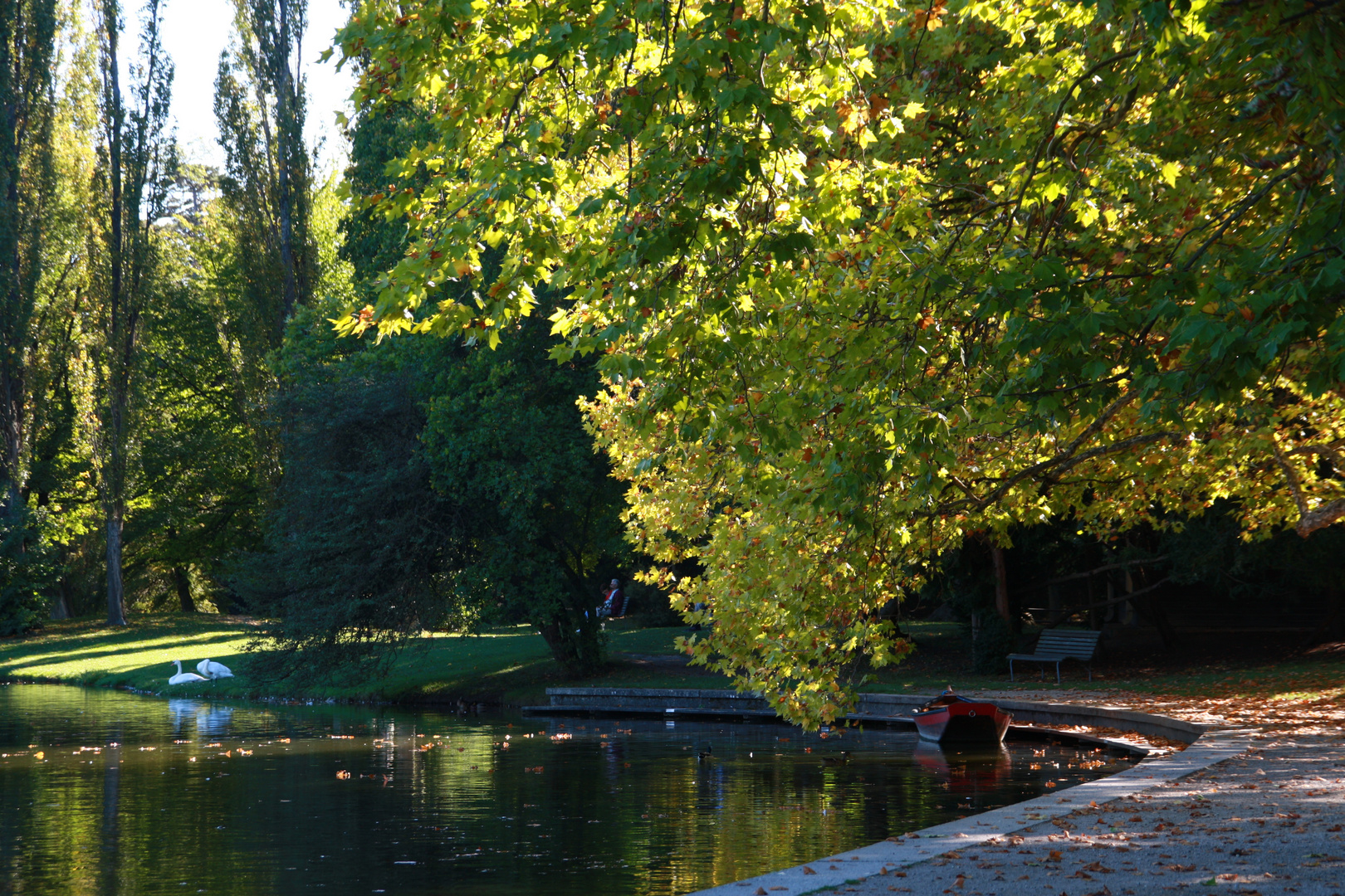 Herbst in Niederösterreich