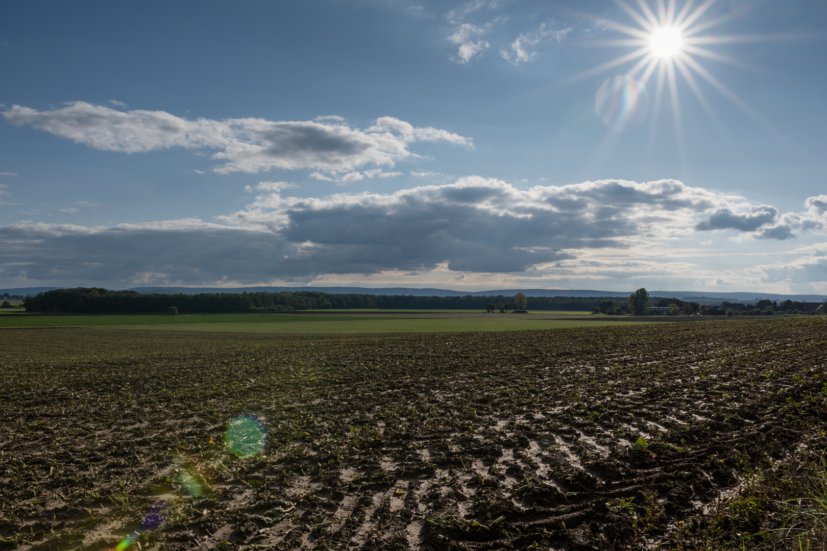 Herbst in Niedersachsen