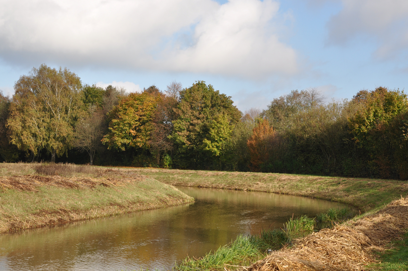 Herbst in Nienburg