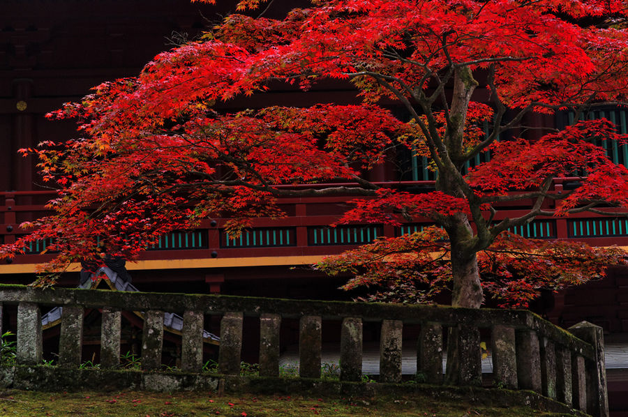 Herbst in Nikko