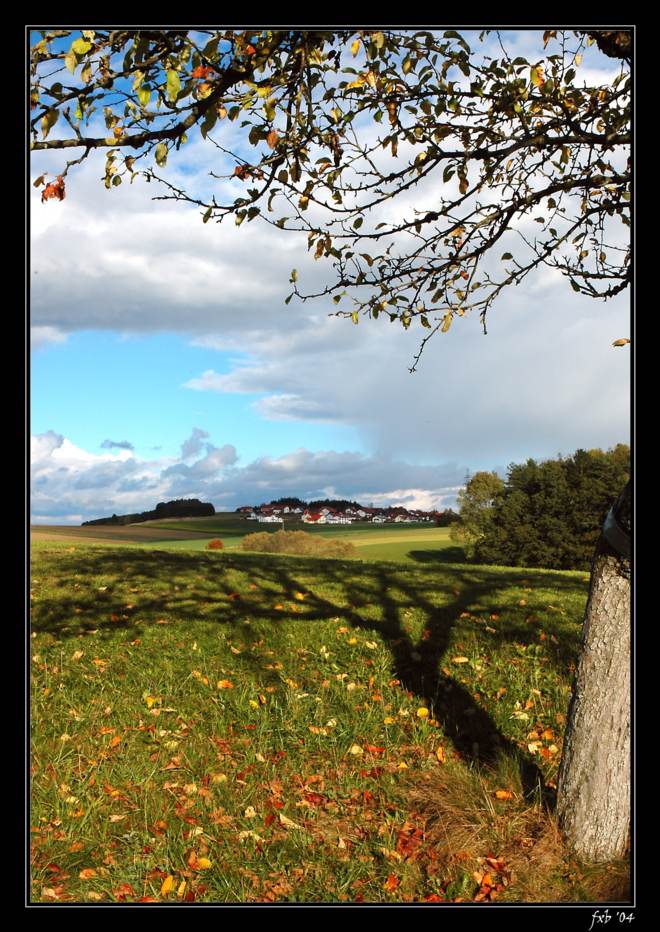 Herbst in Noeham