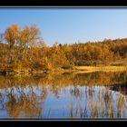 Herbst in Nord-Norwegen