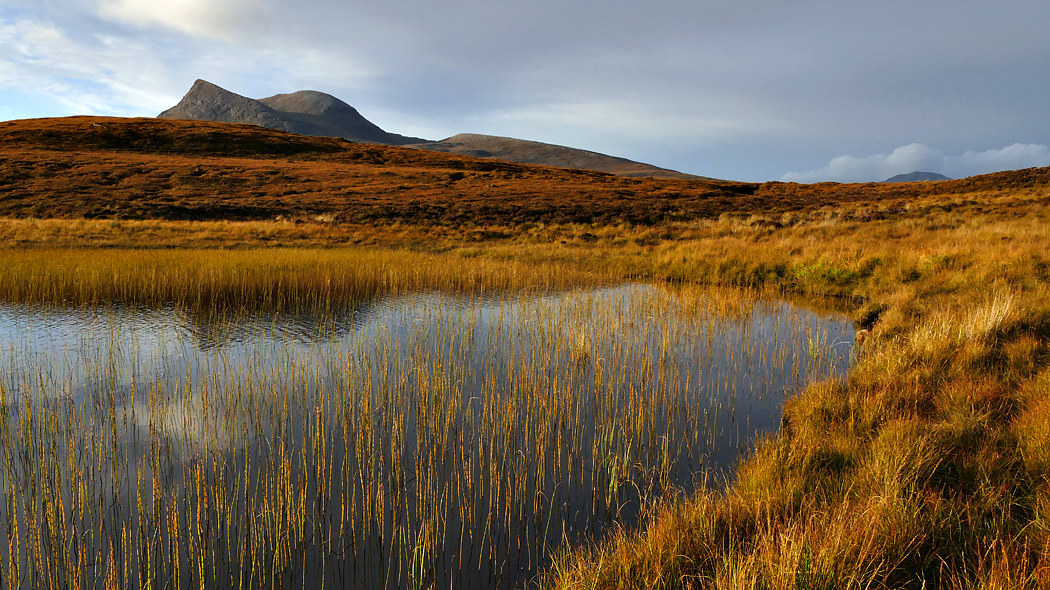 Herbst in Nord Schottland - 1