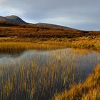 Herbst in Nord Schottland - 1