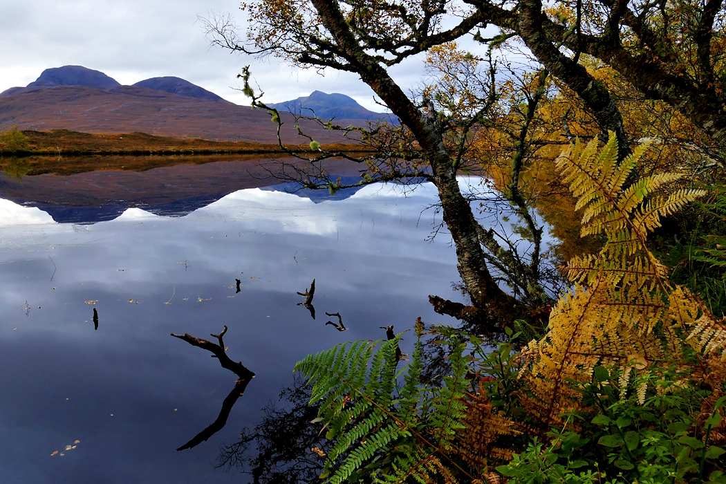 Herbst in Nord Schottland - 15