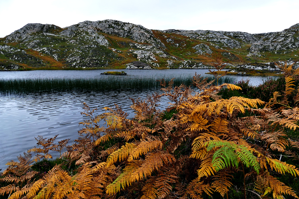 Herbst in Nord Schottland - 3