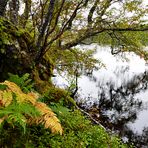 Herbst in Nord Schottland - 4