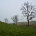 Herbst in Norddeutschland