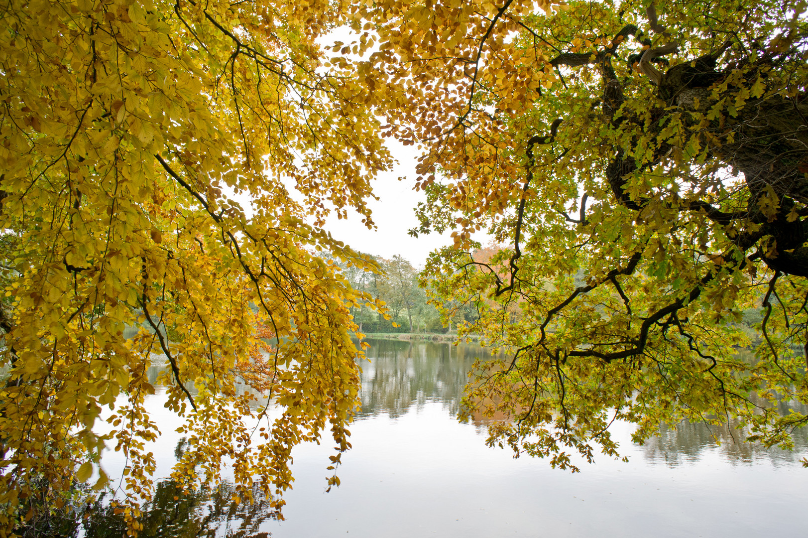 Herbst in Nordhastedt