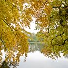 Herbst in Nordhastedt