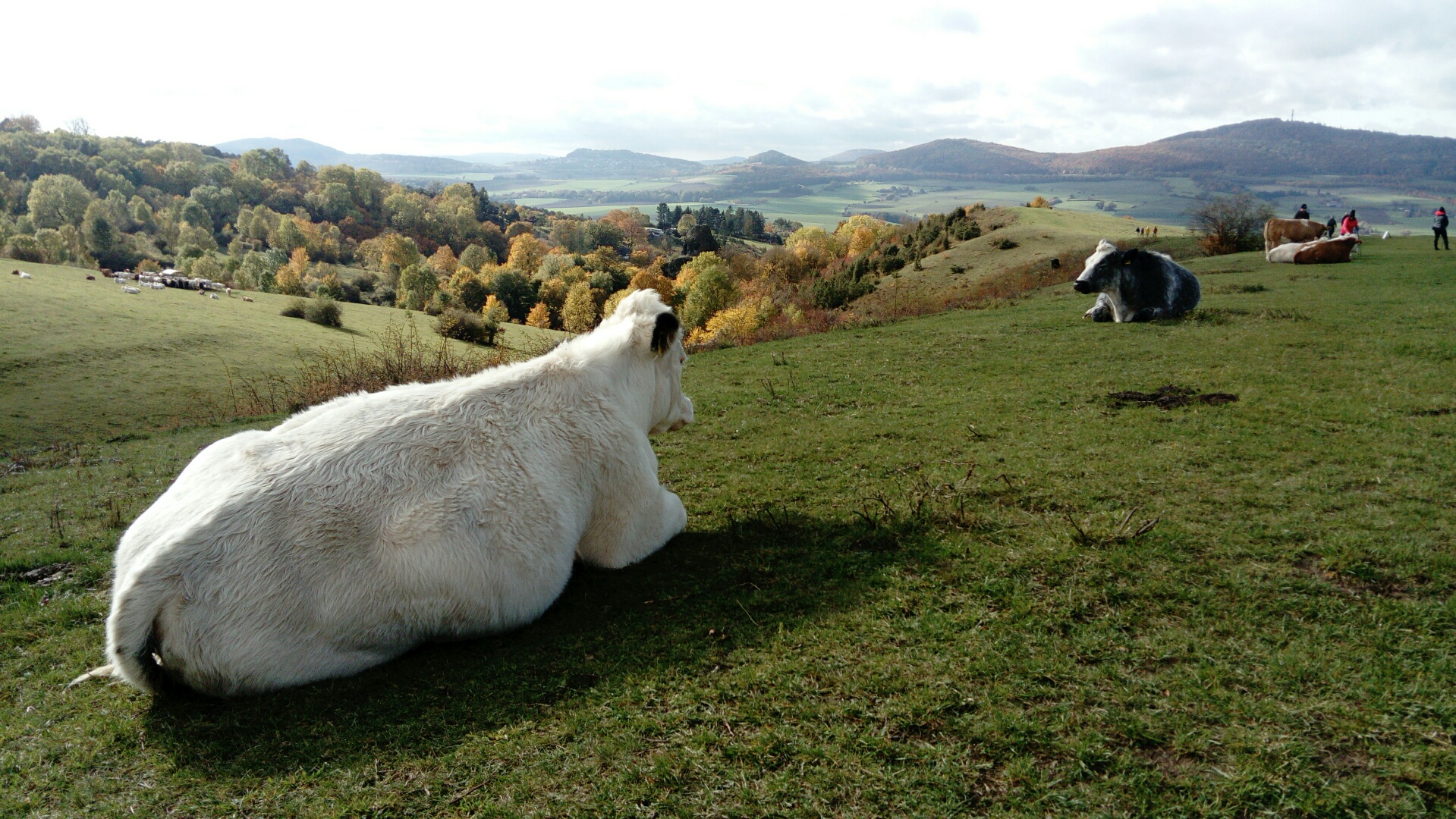 Herbst in Nordhessen