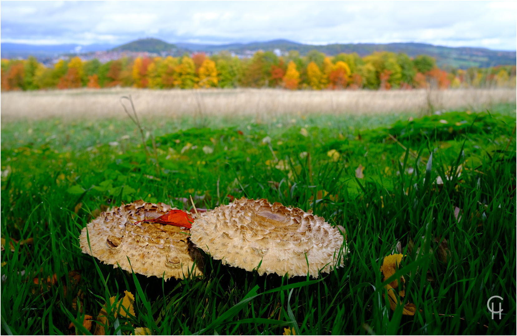 Herbst in Nordhessen GrimmHeimat Rotkäppchenland