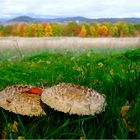 Herbst in Nordhessen GrimmHeimat Rotkäppchenland