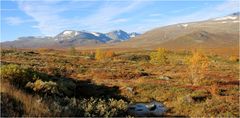 HERBST IN NORWEGEN