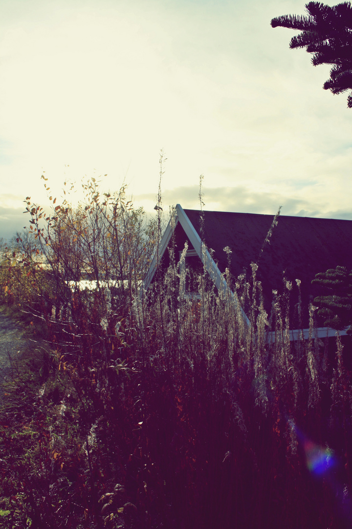 Herbst in Norwegen.