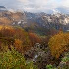 Herbst in Norwegen beim Lysefjord